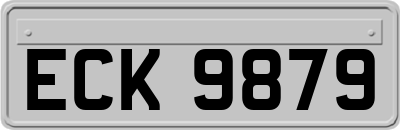ECK9879