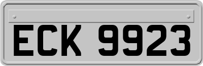 ECK9923