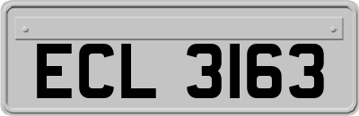ECL3163