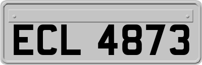 ECL4873
