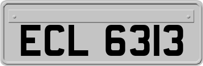 ECL6313