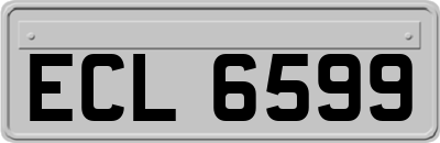 ECL6599