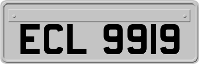 ECL9919