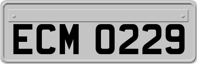 ECM0229