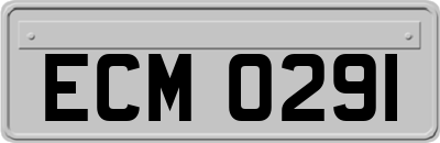 ECM0291