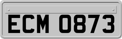 ECM0873