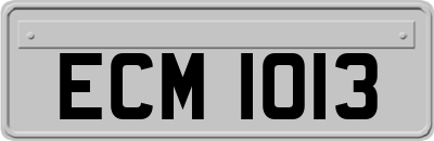 ECM1013