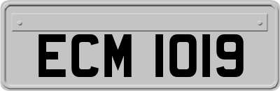 ECM1019