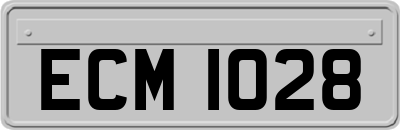 ECM1028