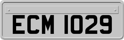ECM1029