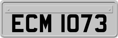 ECM1073