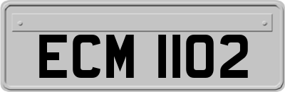 ECM1102
