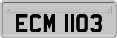 ECM1103