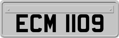 ECM1109