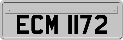 ECM1172