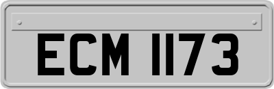 ECM1173
