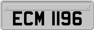 ECM1196