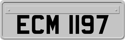 ECM1197