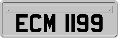 ECM1199