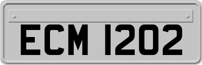 ECM1202