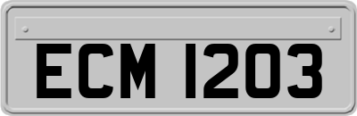 ECM1203