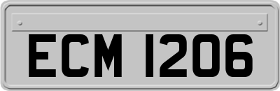 ECM1206