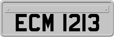 ECM1213