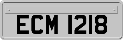 ECM1218