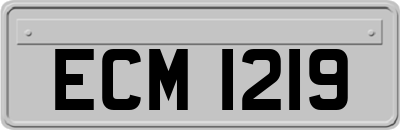 ECM1219