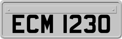 ECM1230