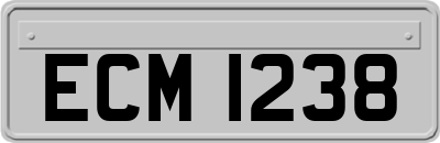 ECM1238