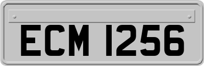 ECM1256