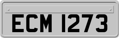 ECM1273