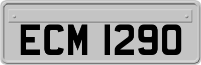 ECM1290