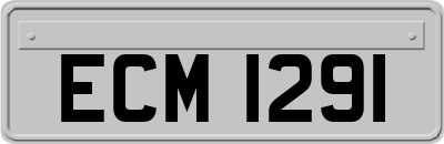 ECM1291