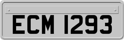 ECM1293