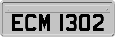 ECM1302