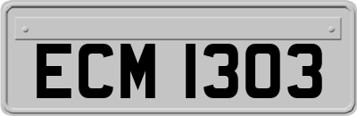 ECM1303