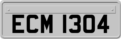 ECM1304