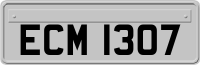 ECM1307