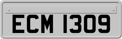 ECM1309