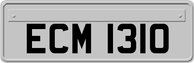 ECM1310