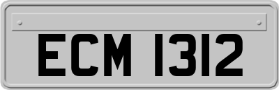ECM1312