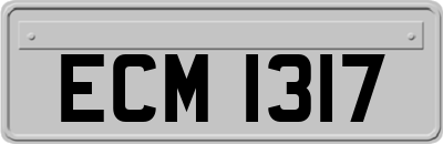 ECM1317