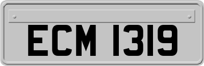 ECM1319