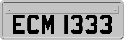 ECM1333
