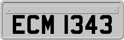 ECM1343