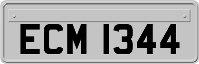 ECM1344