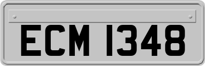 ECM1348