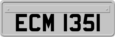 ECM1351